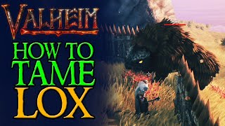 Celebrity How to Tame LOX in Valheim Net Worth