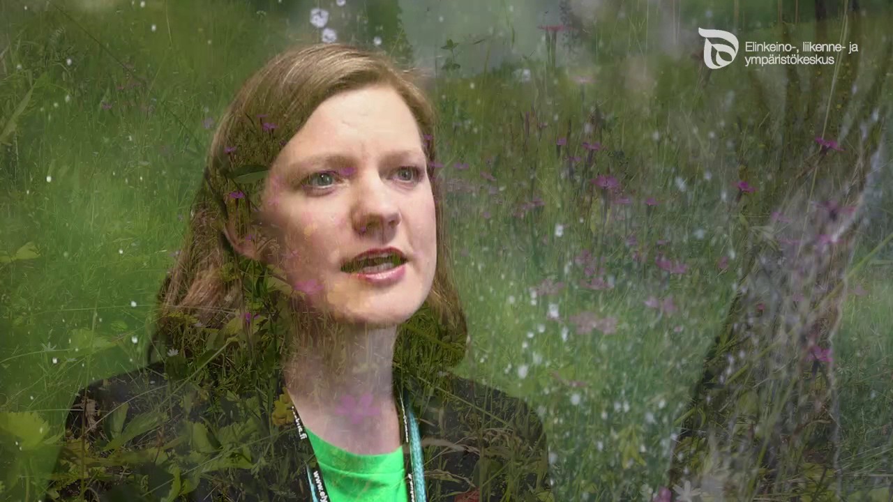 Tienpito 2017, ympäristö