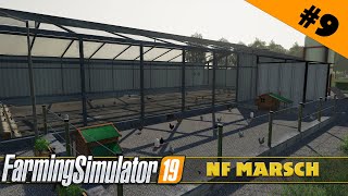 FARMING SIMULATOR - NF MARSCH - КУРОЧКИ