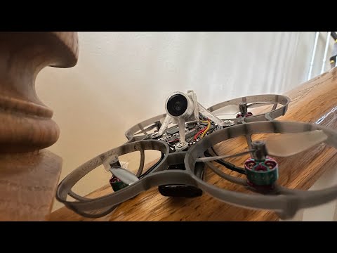 3D Whoop Freestyle