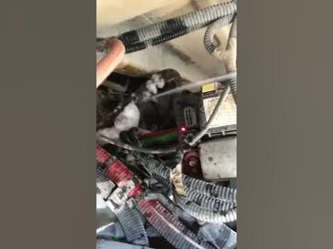 Freightliner not building air pressure - YouTube