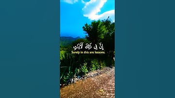 تلاوة خاشعة قرأن كريم تخشع له القلوب #elmulquranعلم #قران_كريم #تلاوة #المصحف #اكسبلور #trend