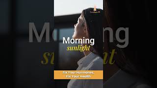Your Hormones Explained Simply