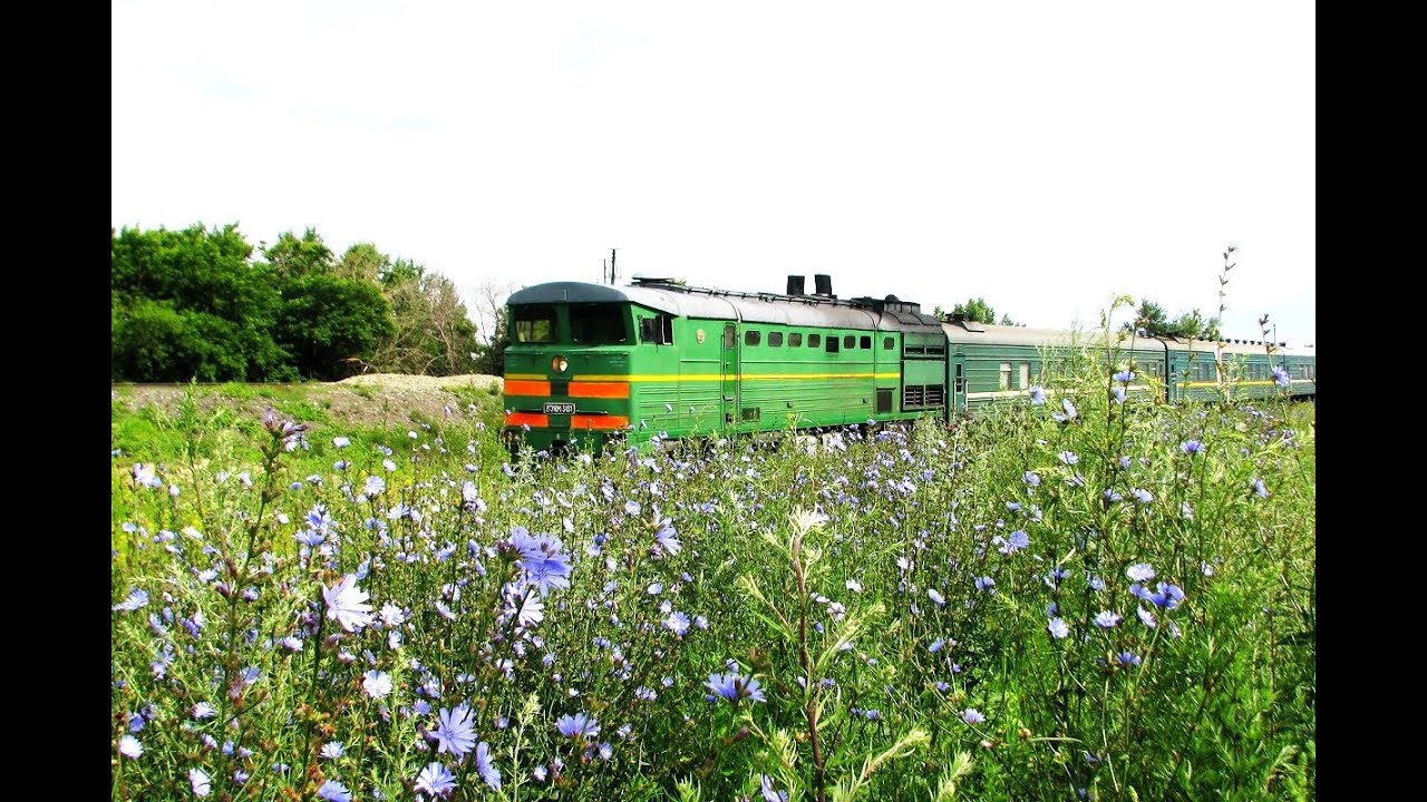 Душевная песня под гармонь На дальней станции сойду - YouTube