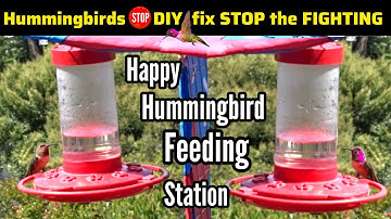 How to STOP Hummingbirds Fighting at Hummingbird Feeder Protect from Sun & Predators & Bird Blinder