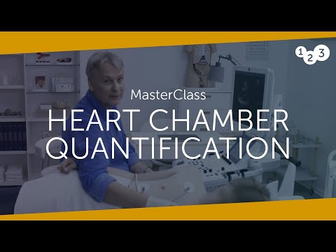 Heart Chamber Quantification MasterClass - Your introduction