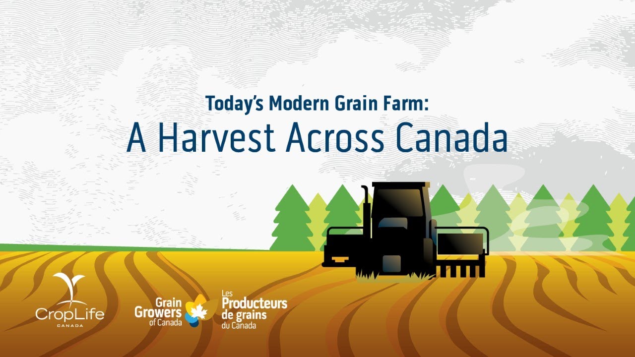 Today's Modern Grain Farm A Harvest Across Canada YouTube