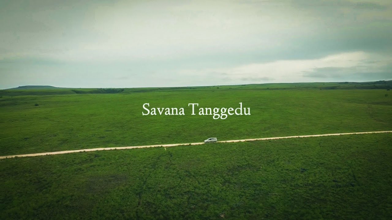 Savana Tanggedu || Indah menyejukkan Mata