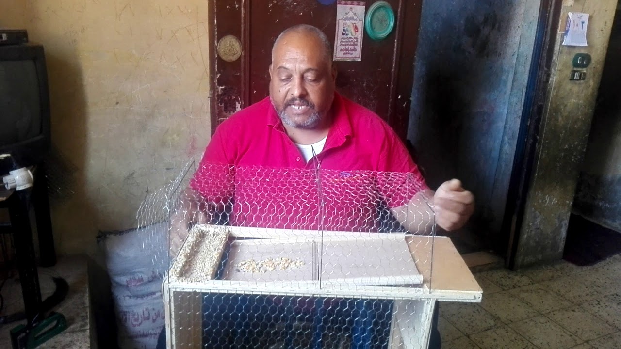 مصيده طيوراتوماتيك تمسك وزن10جرامTrap automatic birds holding weight 10 grams