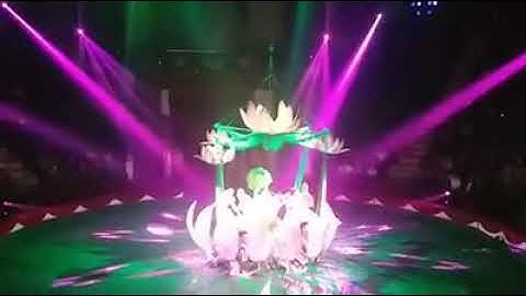 Đu sen 4  liên đoàn xiếc việt nam