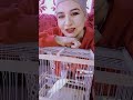 نغم قلت نقبل بصوت الشاب عيللو اشترك بالقناة اعمل اعجاب انشر المحتوى 
