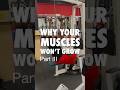 Why Your Muscles Won't Grow pt3