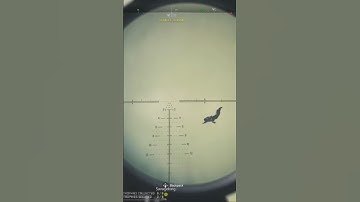 GODLY Quick Scope | COD WARZONE 2.0 | #callofduty #codclips #warzone2