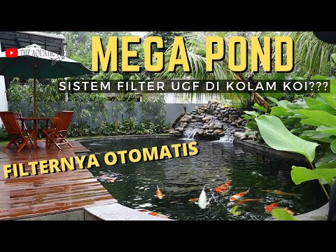 mega-pond-review-dengan-sistem-rotary-drum-filter-vs-sistem-under-gravel-di-kolam-koi