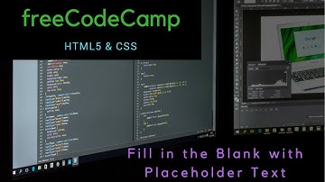 Fill in the Blank with Placeholder Text, freeCodeCamp review html & css