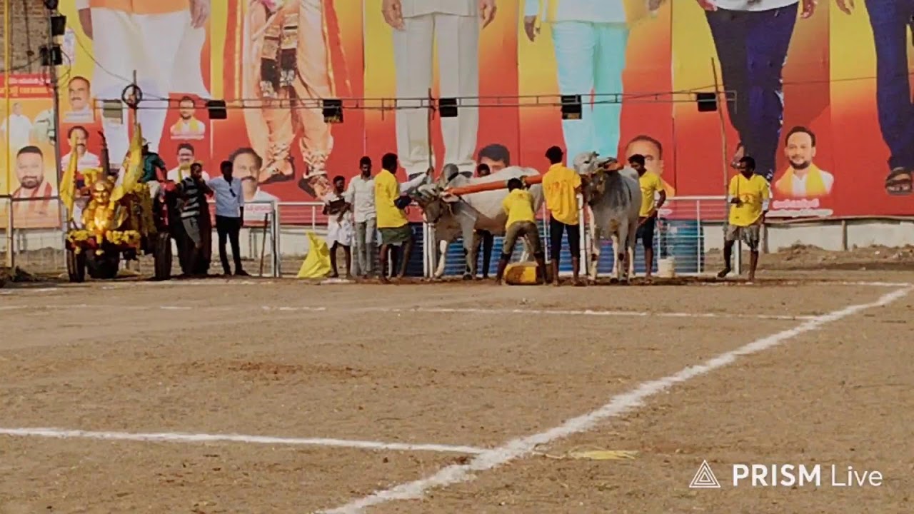 చిలకలూరి పేట గ్రామం||2పల్ల విభాగం 16వ జత రామిశెట్టి వెంకట గురు లక్ష్మణ్ కుమార్ 19-1-2026💥💥