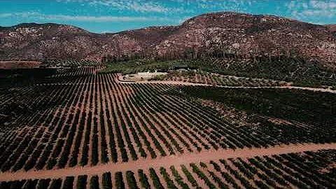 LC DECORACION BODA  M&R  La Cetto Valle de Guadalupe B.C.