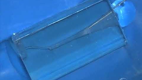 Shape Clean Pack: Canal Preparation - Irregular Glide Path: Dr. Ruddle Advanced Endodontics