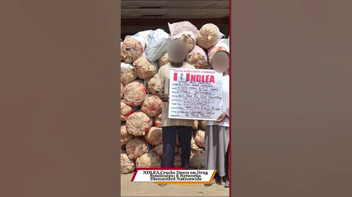 NDLEA Cracks Down on Drug Syndicates: 6 Networks Dismantled Nationwide