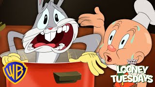 Rabbit Stew For Thanksgiving? Looney Tuesdays