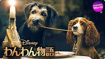 名作アニメーション実写映画化！『わんわん物語』予告編