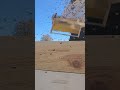#beekepers #beekeeper #beehive  #bee #bees #honeybee #beelife #honey  32