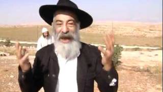 Video thumbnail of "אריאל זילבר - קונה מיהודים"