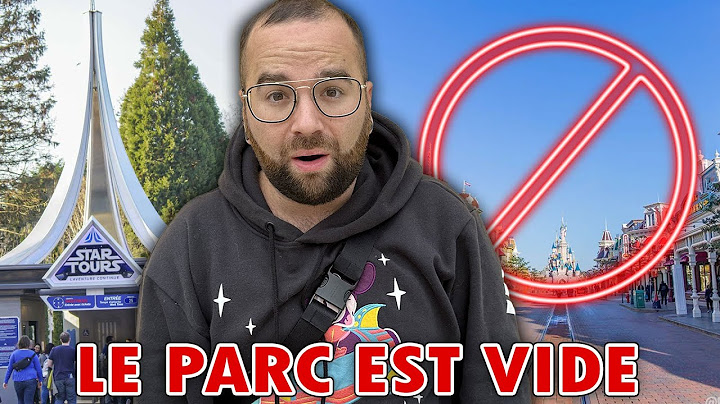 DINGUERIE .. LE PARC DISNEYLAND EST VIDE