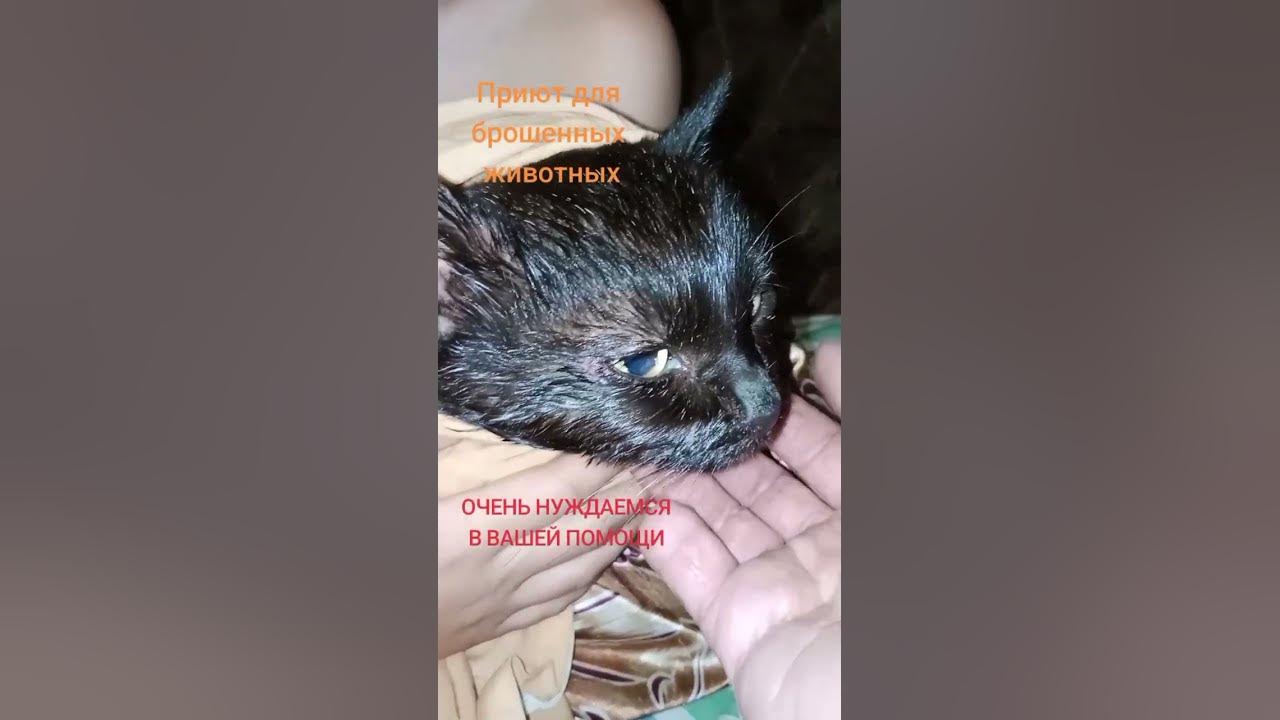 ПОМОЩЬ+79831072227 СБЕР ТЕЛЕФОН - YouTube