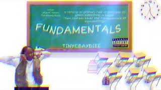 TinyCBaybiee- Fundamentals