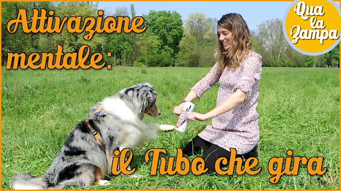 Problem solving: esercizi e giochi col cane 