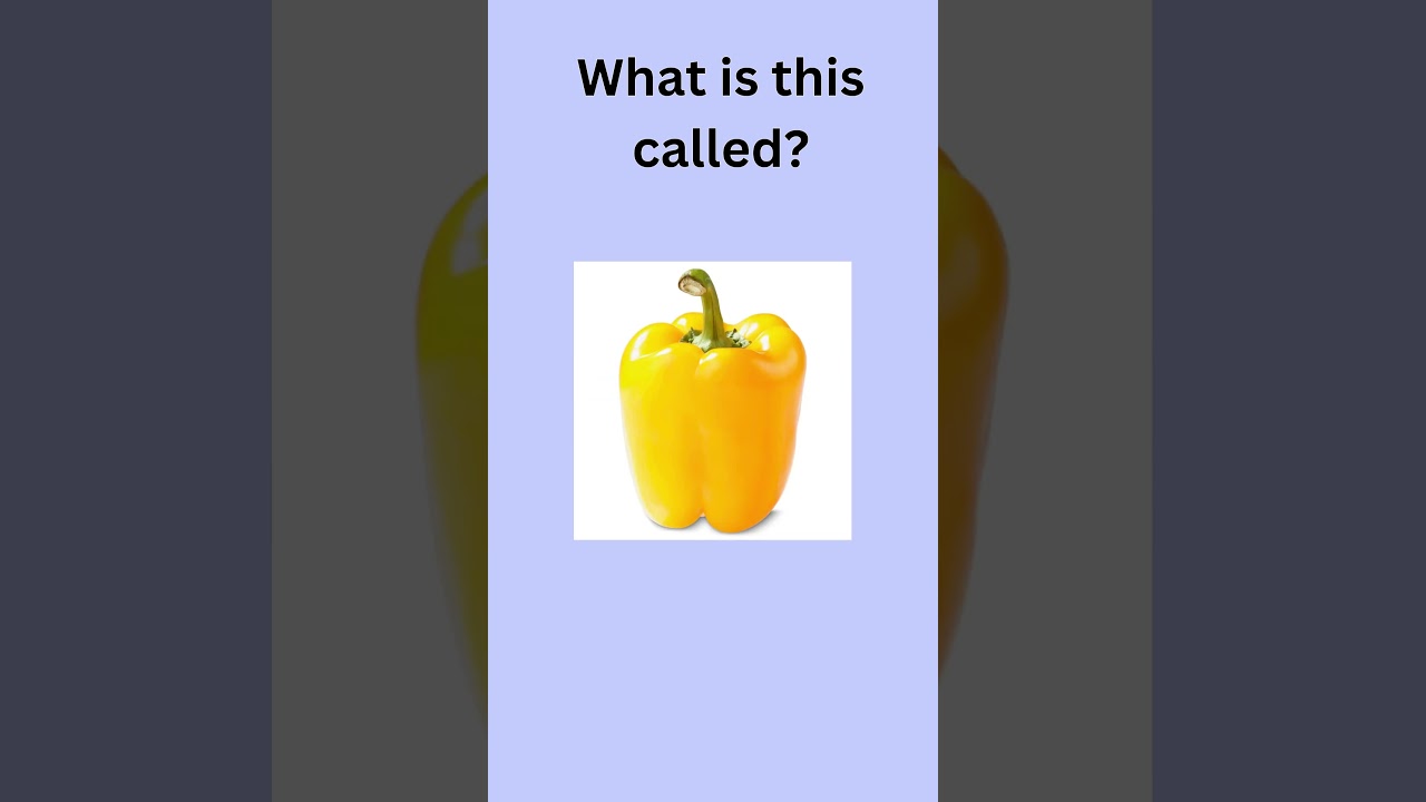 ⁣What is this called? Vegetables #english #anglais #vocabulary #education #vegetables #shorts