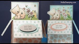 Box Style Card   Hello There Honey Bear