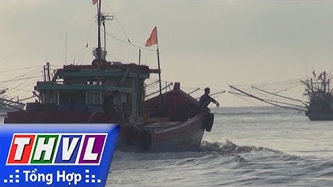 THVL | Người đưa tin 24G: Ngư dân Quảng Ngãi bức xúc vì tàu cá bị đâm chìm nhưng không...