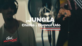 JUNGLA by Chimie & Domnul Udo - Sus | Diud, where's my tune?