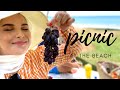 Picnic at The Beach | Oman Vlog
