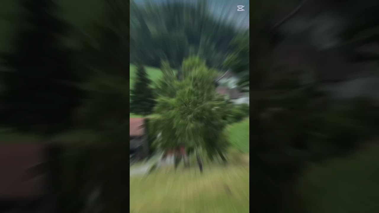 Zofingen Vlog | Switzerland 🇨🇭    