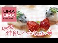 仲良しハムちゃんのそっくり行動集【うまる＆こまる#46】