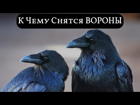 К чему снятся ВОРОНЫ или видеть во сне ВОРОН | Толкование снов | Сонник Sk1.online