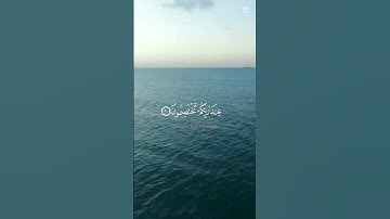 سورة الزمر الآيات 29_32 | إنك ميت وإنهم ميتون | بتلاوة الشيخ ياسر الدوسري