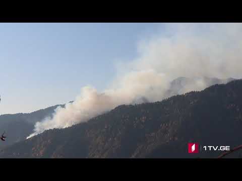 ხანძარი სოფელ ლატალში