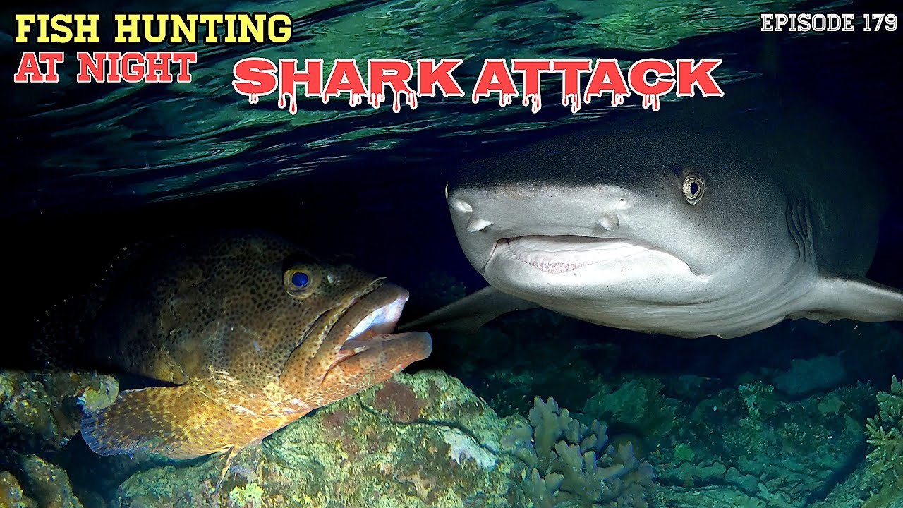NIGHT SPEARFISHING EPISODE 179 | SHARK ATTACK!