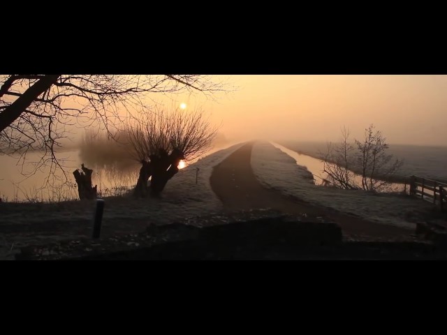 Bas Peters - Follow The Birds