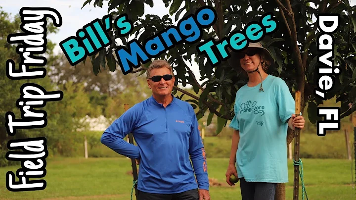 Field Trip Friday- Bill's Mango Trees (Davie, FL)