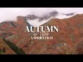 Autumn in utah  a short film