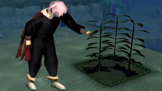 Giant Seaweed Farming Guide OSRS