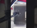 Two woolly Buggers that tied