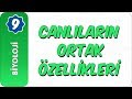 9. Sınıf Biyoloji | Biyoloji Bilimi ve Canlıların Ortak Özellikleri