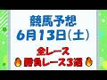 【競馬予想】６月１３日（土）全レース予想／厳選３レース(平場予想・重賞予想)