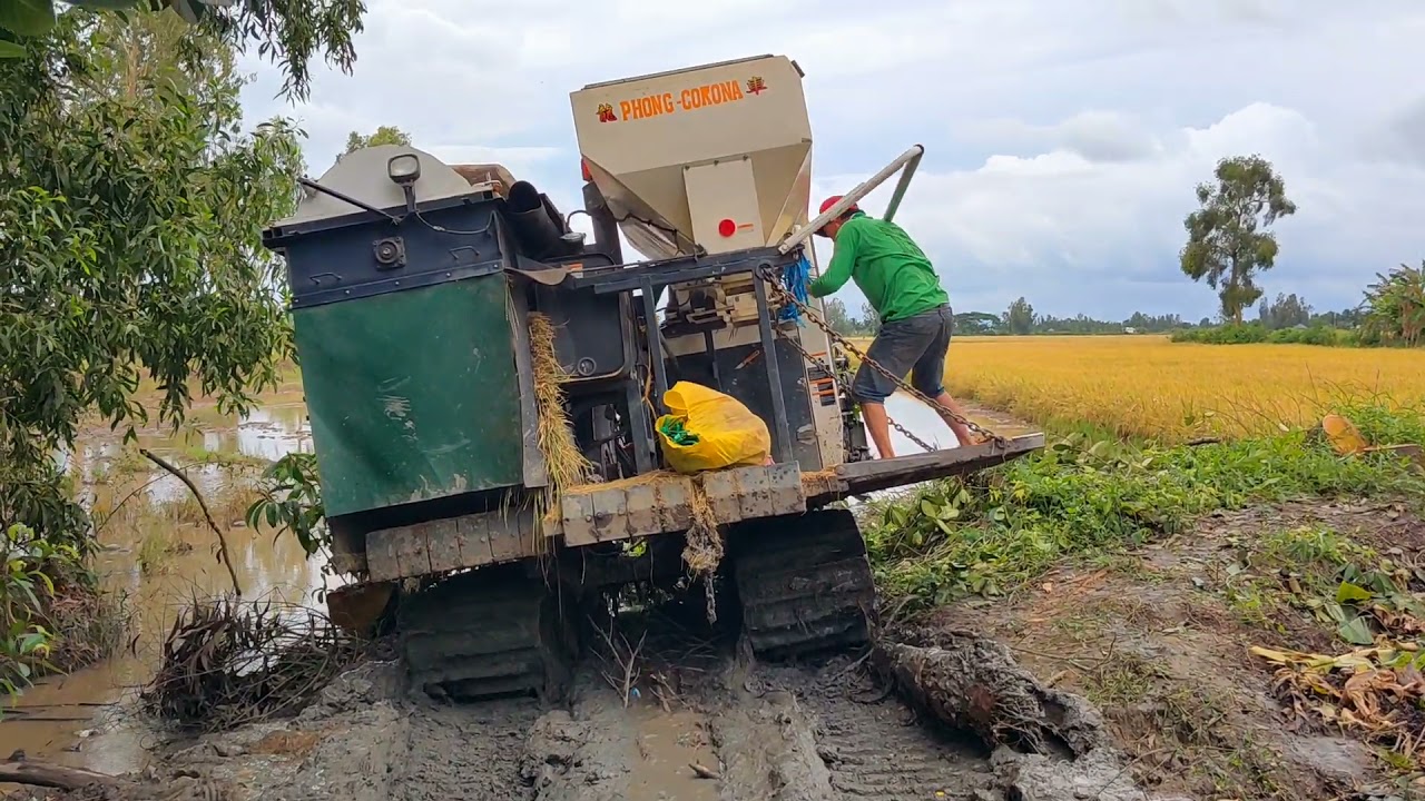 Khi team máy cắt Kubota 105x độ hàng khủng - độc lạ - mạnh khủng ra đồng khiến bạn phải trầm trồ